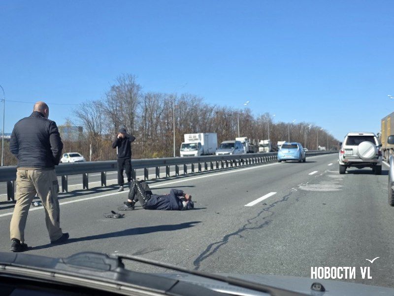 На трассе в районе села Вольно-Надеждинское сбили человека. — Новости VL.ru | Владивосток