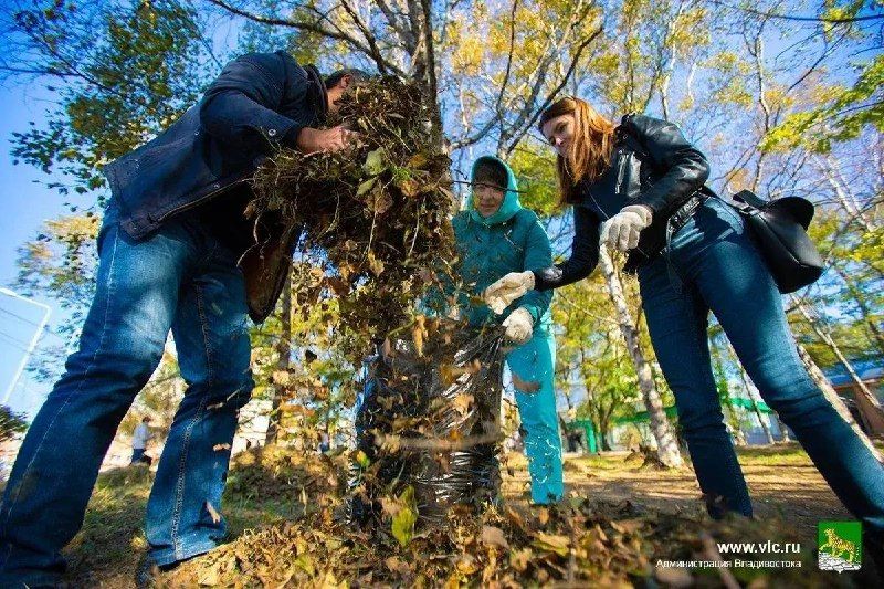 Сделаем Владивосток чище: общегородская акция чистоты пройдет 24 октября.