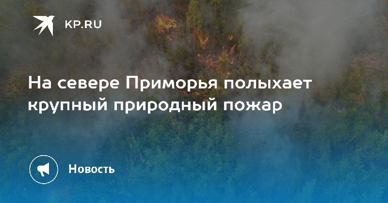 Пожар на севере Приморья
