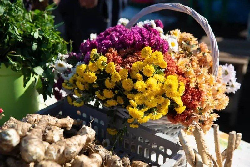 Фермеры ждут своих покупателей на ярмарках Владивостока.