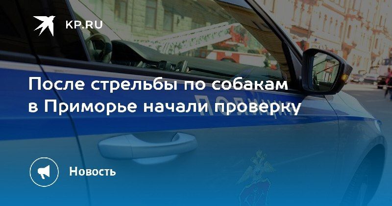 В Приморье местный житель открыл стрельбу по собакам