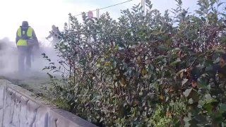 Сегодня во Владивостоке проходит общегородской субботник.