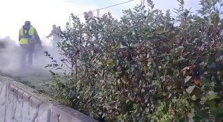Большой общегородской субботник проходит во Владивостоке — ВОСТОК-МЕДИА | Владивосток и ДФО