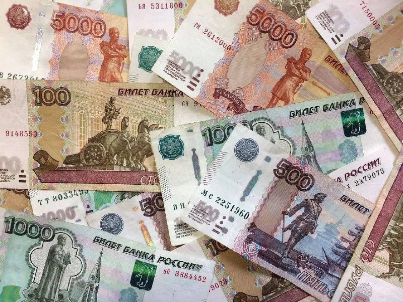 От ежемесячных выплат до санаторных путёвок: какую поддержку получают ветераны труда и почётные граждане Приморья.