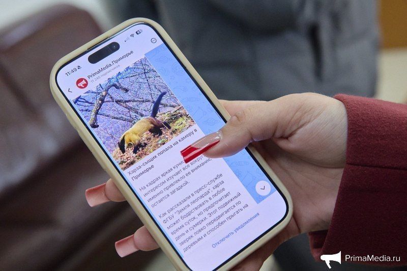 Картина дня: внезапное представление Шестакова, "проклятие снято" и расцветший багульник