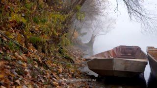 Есть места, где тайга – не просто лес, а целый мир. Один из них – Красный Яр в Пожарском округе, на берегу реки Бикин.
