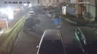 Стая кабанов устроила ночные прогулки во Владивостоке