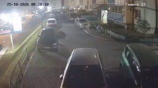Ночью по двору дома в Снеговой Пади бегали кабаны