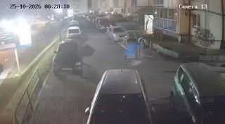 Необычная встреча ночью — во Владивостоке на Снеговой пади заметили стаю кабанов