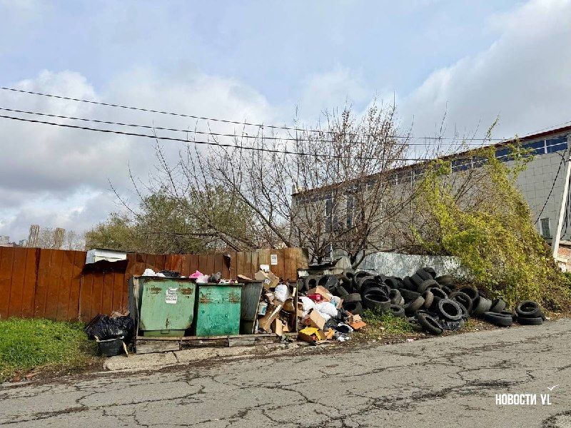 200 рублей за шину или выкинуть в лес: Владивосток снова завалили старыми покрышками в сезон смены резины