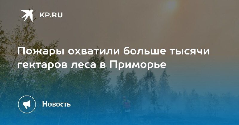 Пожары в Приморье: свыше 1000 гектаров леса под угрозой