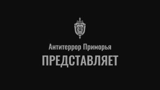 В Приморье 18-летнего жителя Спасска-Дальнего обвиняют в госизмене — он передавал данные Украине