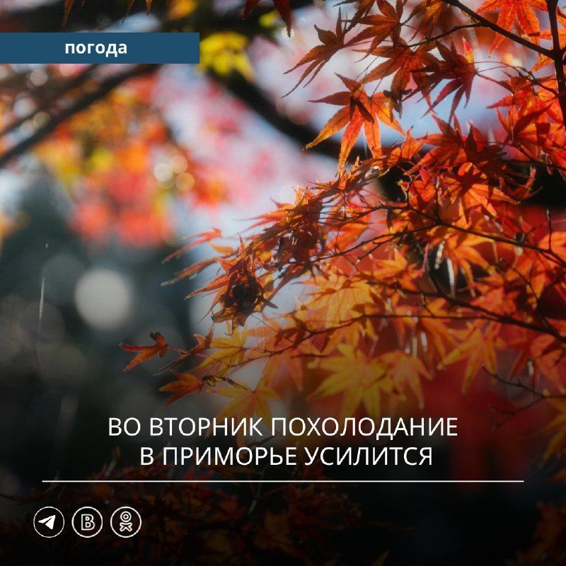 Прошедшие выходные в Приморье выдались необычно тёплыми.