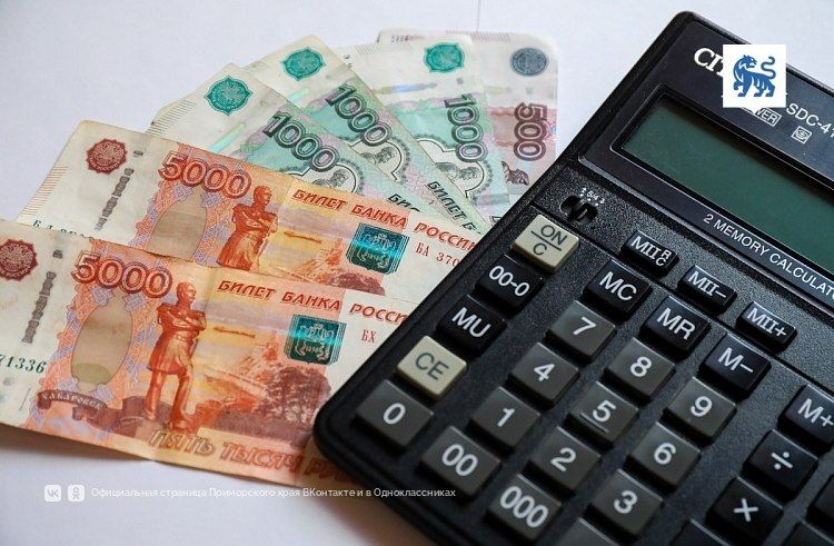 Налоговые уведомления за 2025 год приходят по новой форме — Правительство Приморского края