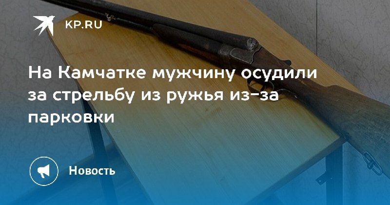 На Камчатке осудили мужчину за стрельбу из ружья — КП - Владивосток