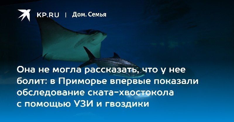 Уникальный случай в Приморье