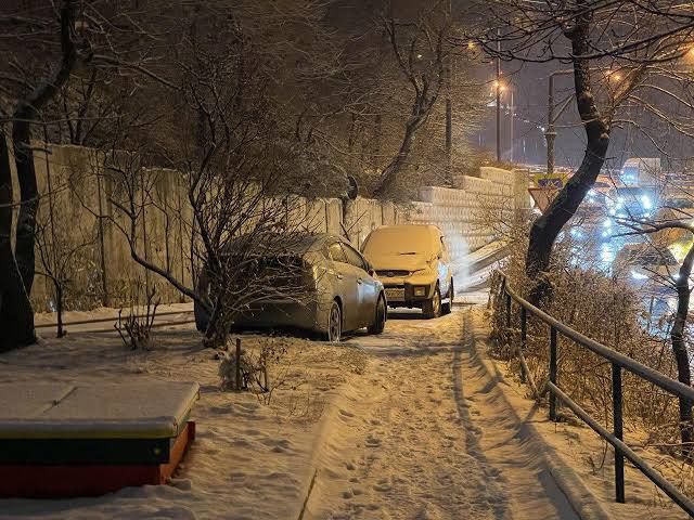 Во Владивостоке уже 1 ноября, в воскресенье, возможен первый снег — сообщили в Примгидромете — Svodka25 l Новости Приморья и Владивостока