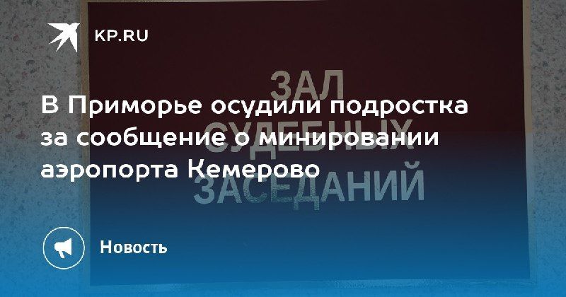 Подростка осудили за ложное минирование аэропорта